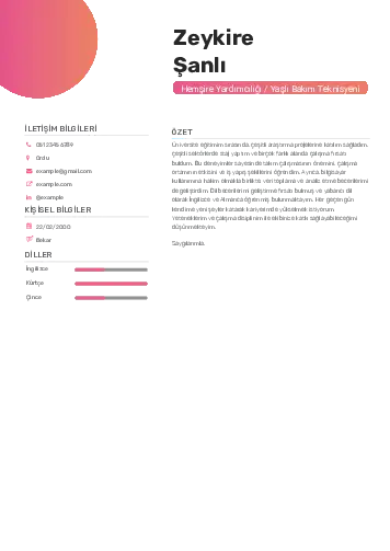 Hasta ve Yaşlı Bakım Elemanı Cv Örnekleri cv indir